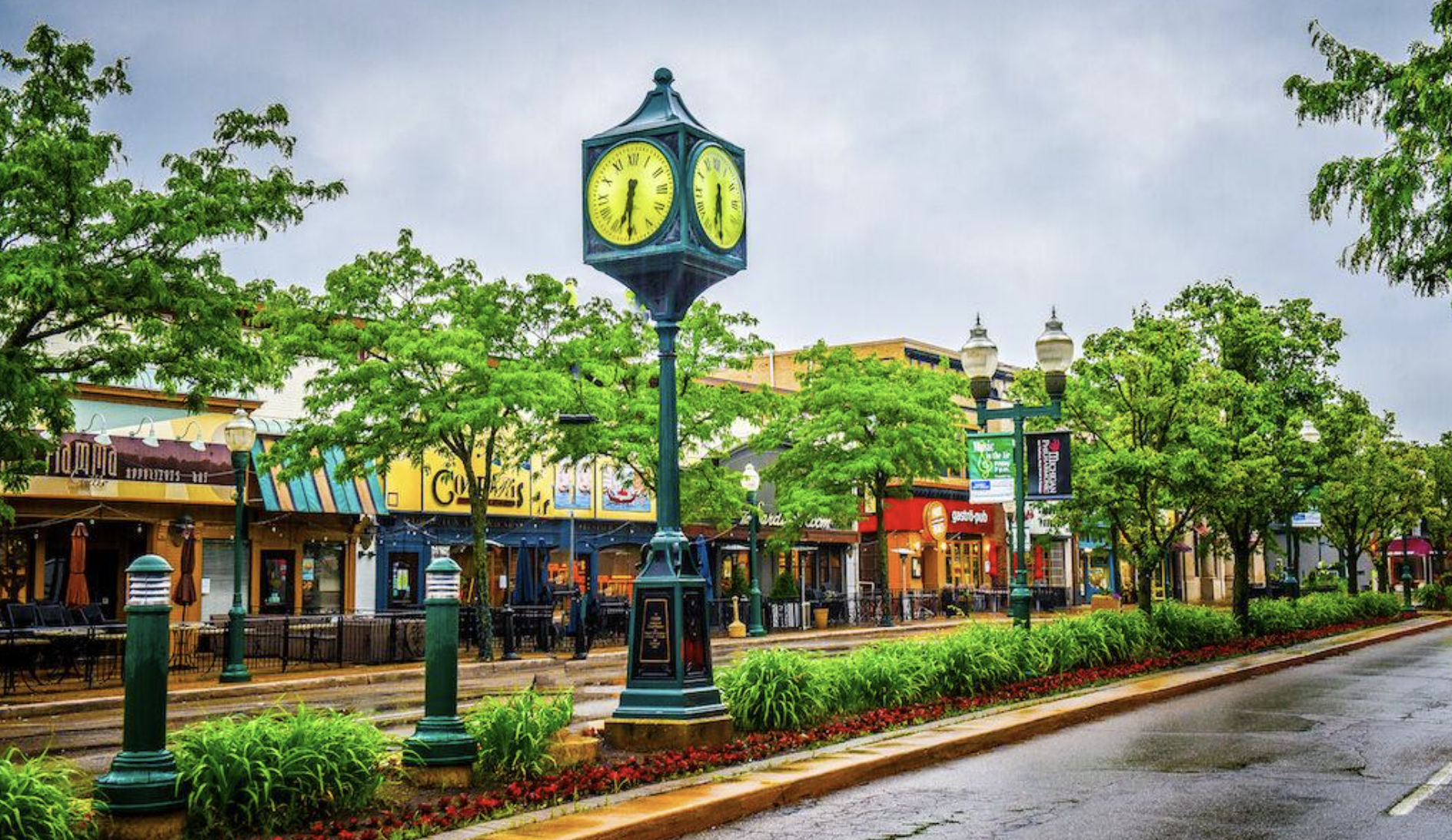 Ashley Jolley, Realtor in Plymouth, MI