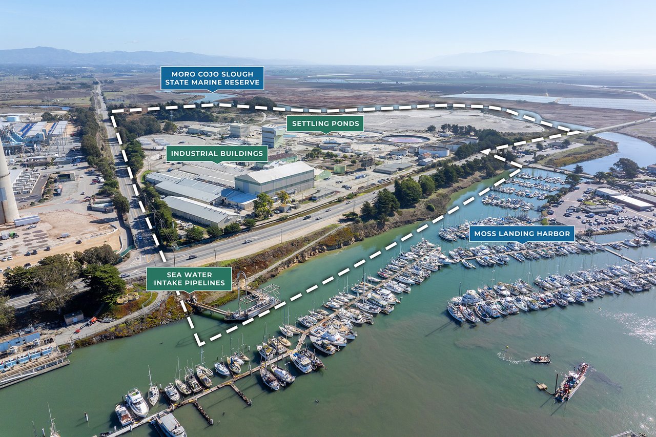 Tim Allen Properties Team in Carmel-By-The-Sea, CA (3)