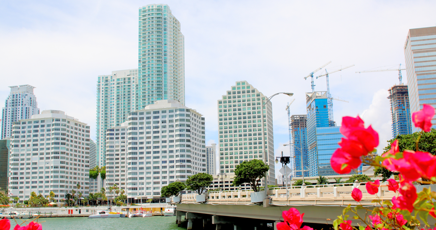 Rosa M. Cohen, CPA. in Fort Lauderdale, FL