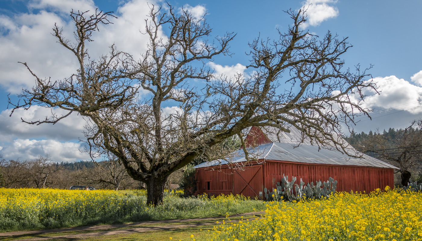 Calistoga Realty Co. Inc. in Calistoga, CA