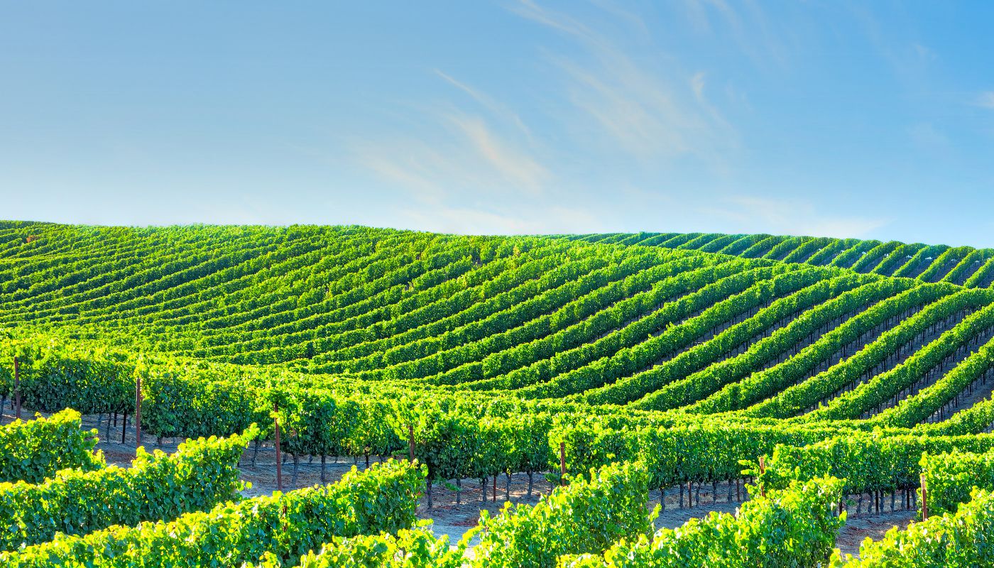 Calistoga Realty Co. Inc. in Calistoga, CA (2)