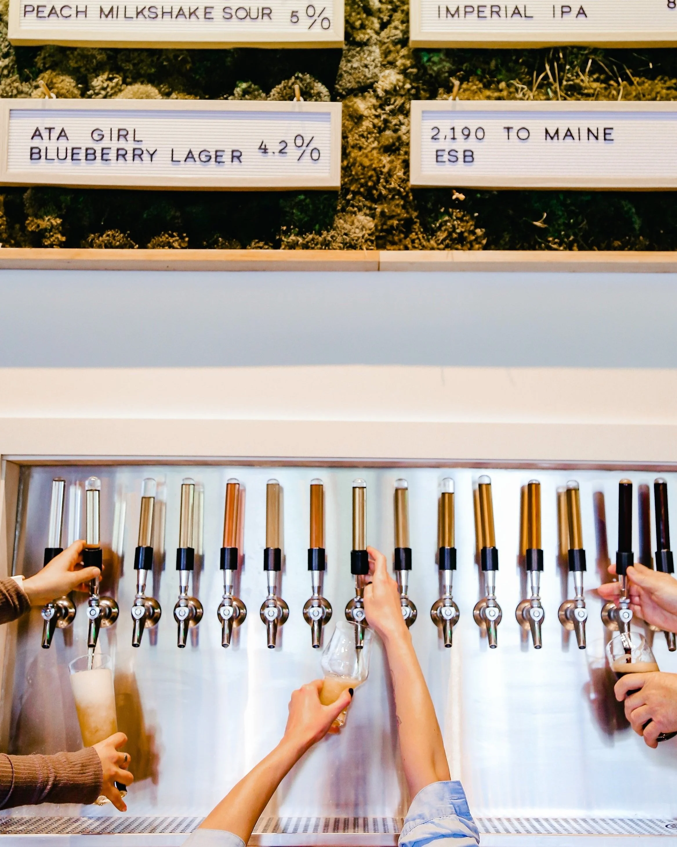Tipping Point Brewing Co. in Blue Ridge, GA (2)