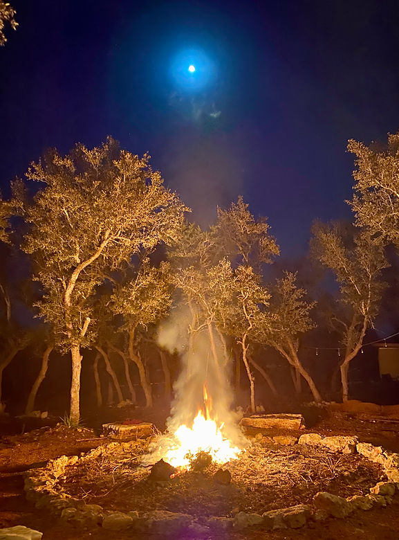 Hill Country Caribbean Vybez in Blanco, TX (3)