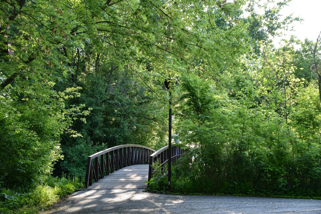 THE AGENCY X Excellence in Real Estate in Elmhurst, IL (4)