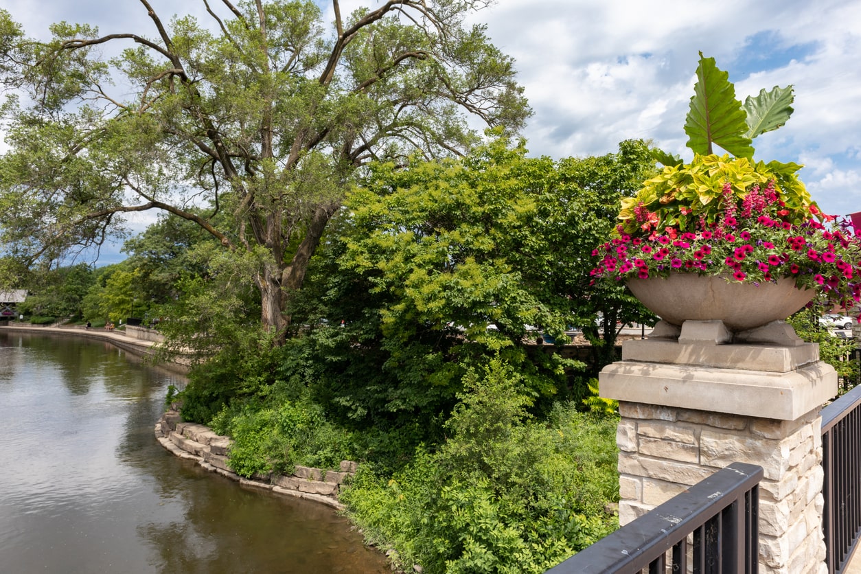 THE AGENCY X Excellence in Real Estate in Elmhurst, IL (6)