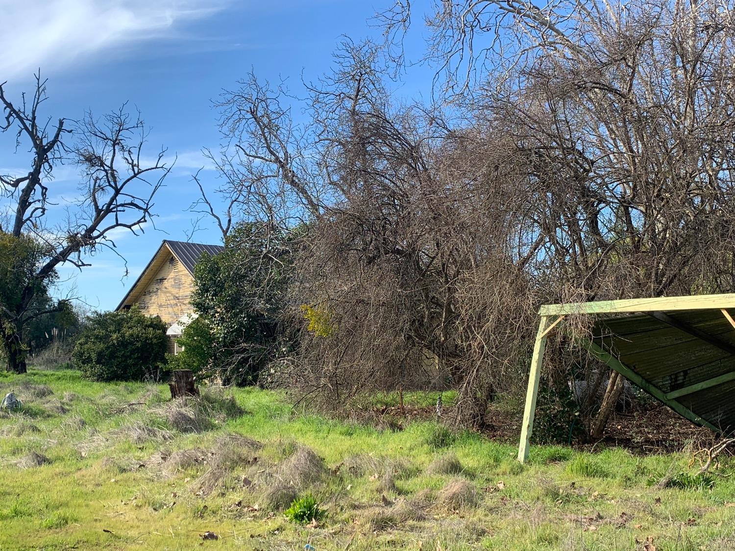 Ginny Ritz in Yuba City, CA