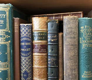 Treehorn Books in Santa Rosa, CA (4)
