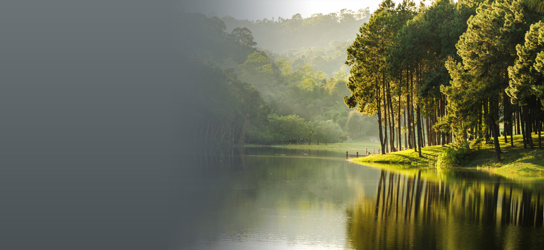 Vasona Financial & Tax Services in Los Gatos, CA