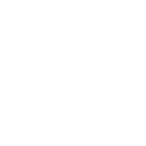 J. Renee Braids Fades & Slays in Columbia, SC (2)