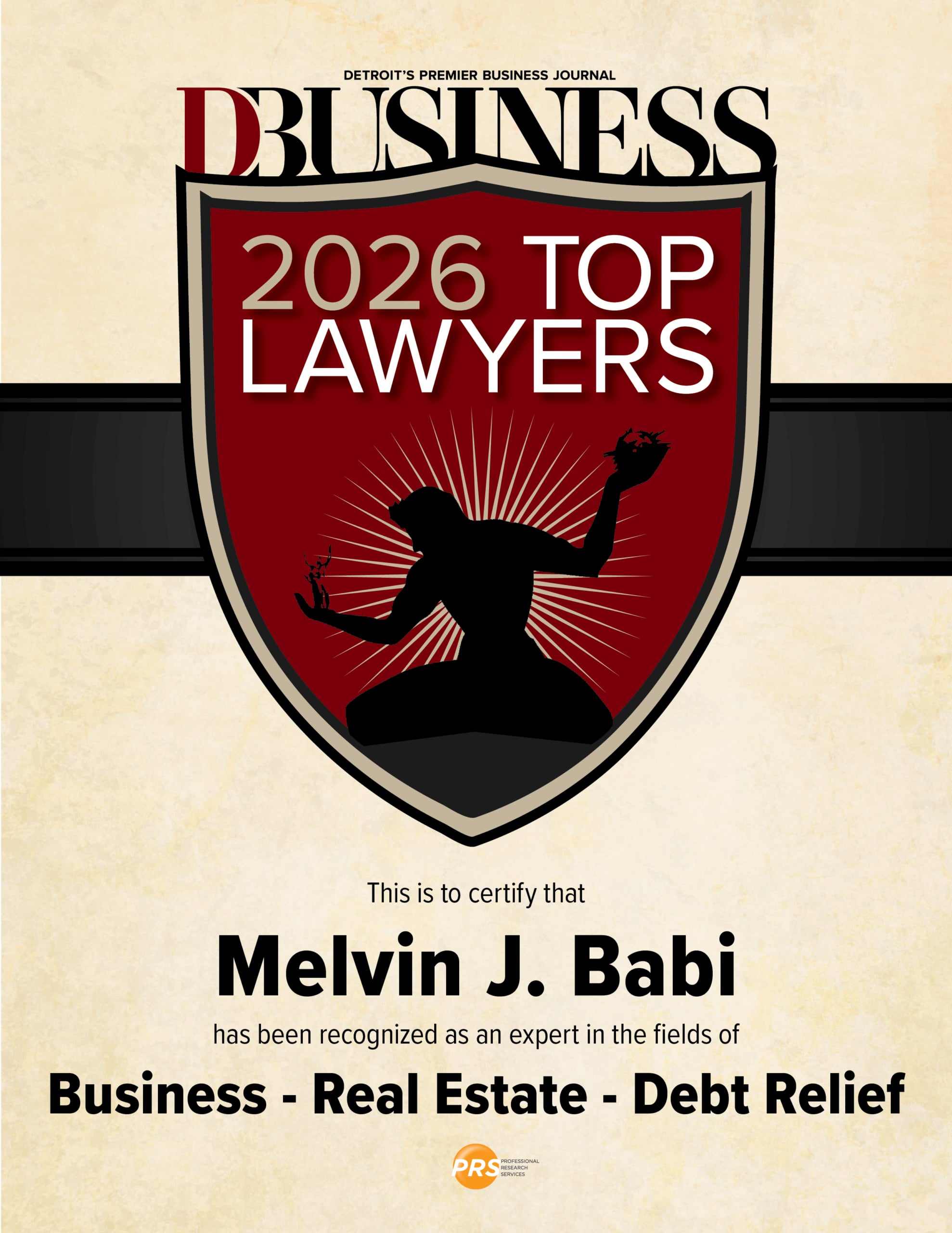 Babi Legal Group, PLLC in Novi, MI (4)