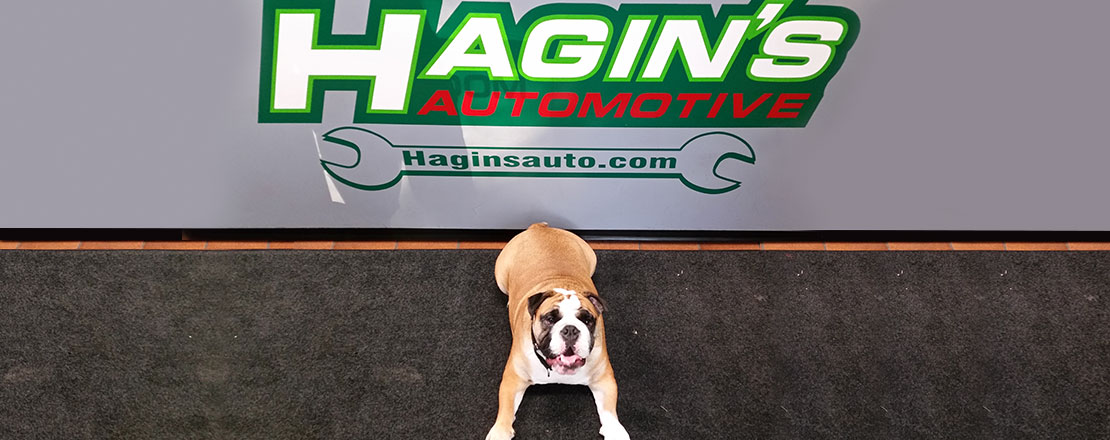 Hagin's Automotive in Martinez, CA (6)
