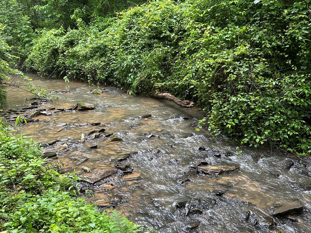 Melissa Maxie - LOCAL Realty in Ellijay, GA (2)