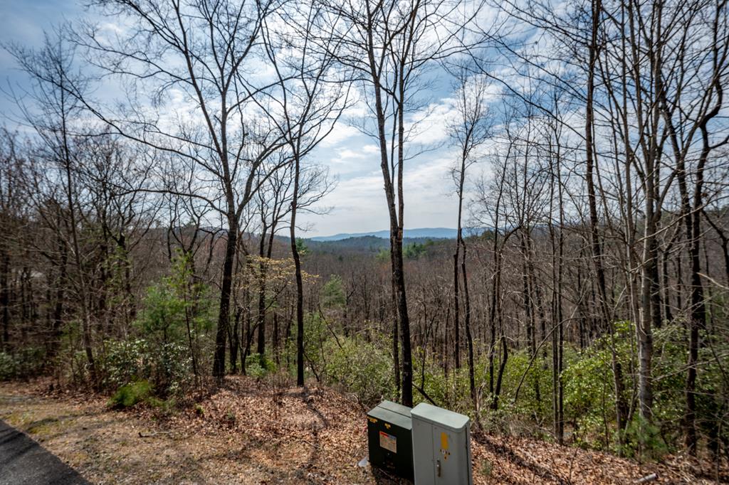Melissa Maxie - LOCAL Realty in Ellijay, GA (4)