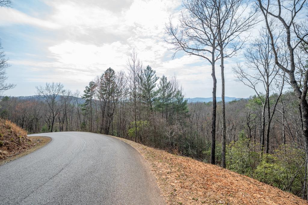 Melissa Maxie - LOCAL Realty in Ellijay, GA (6)