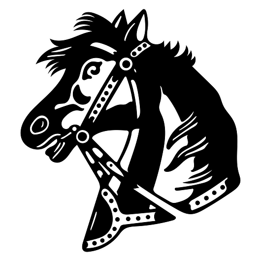 Dark Horse Hair Company in Indianapolis, IN