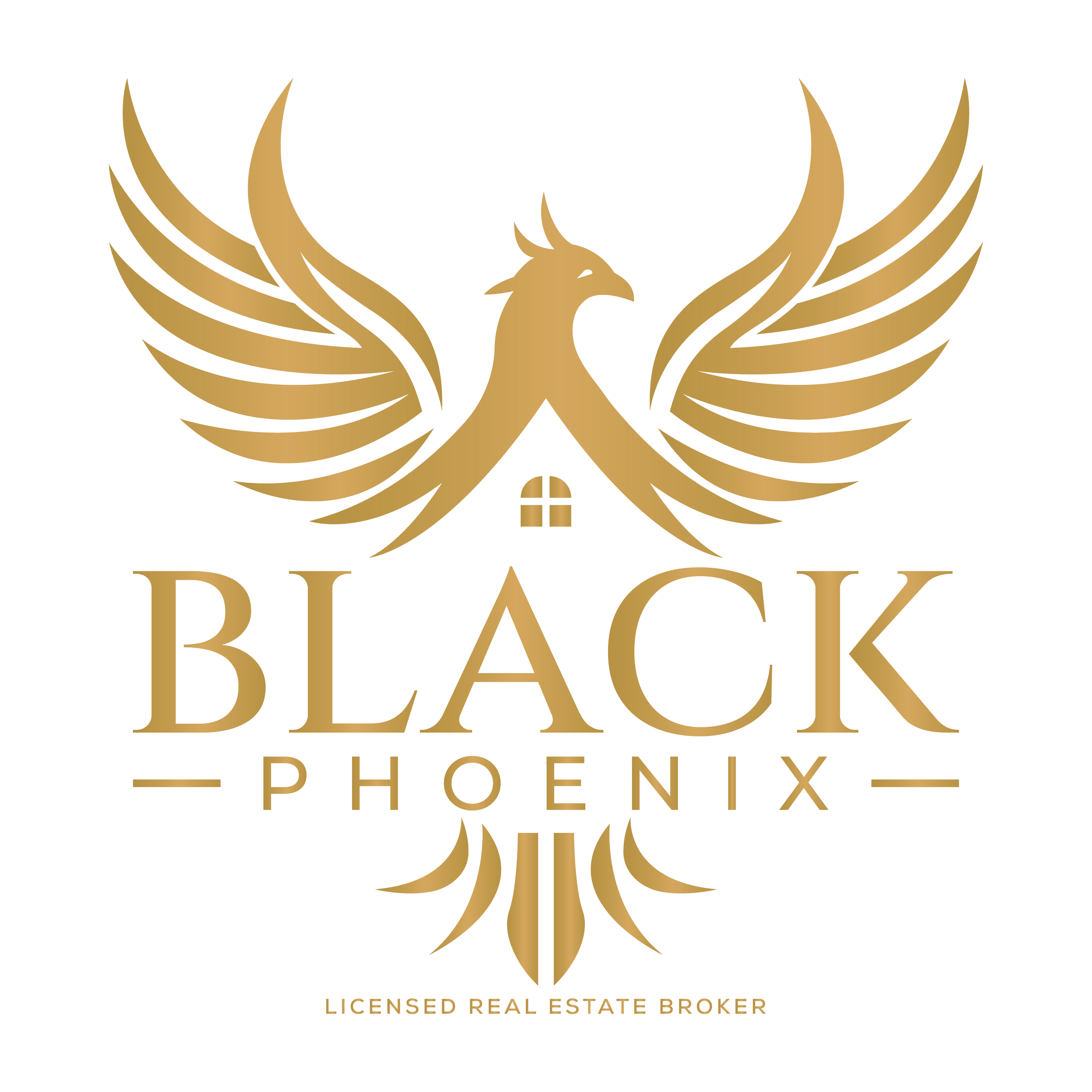 Black Phoenix Property Management in Tampa, FL (2)