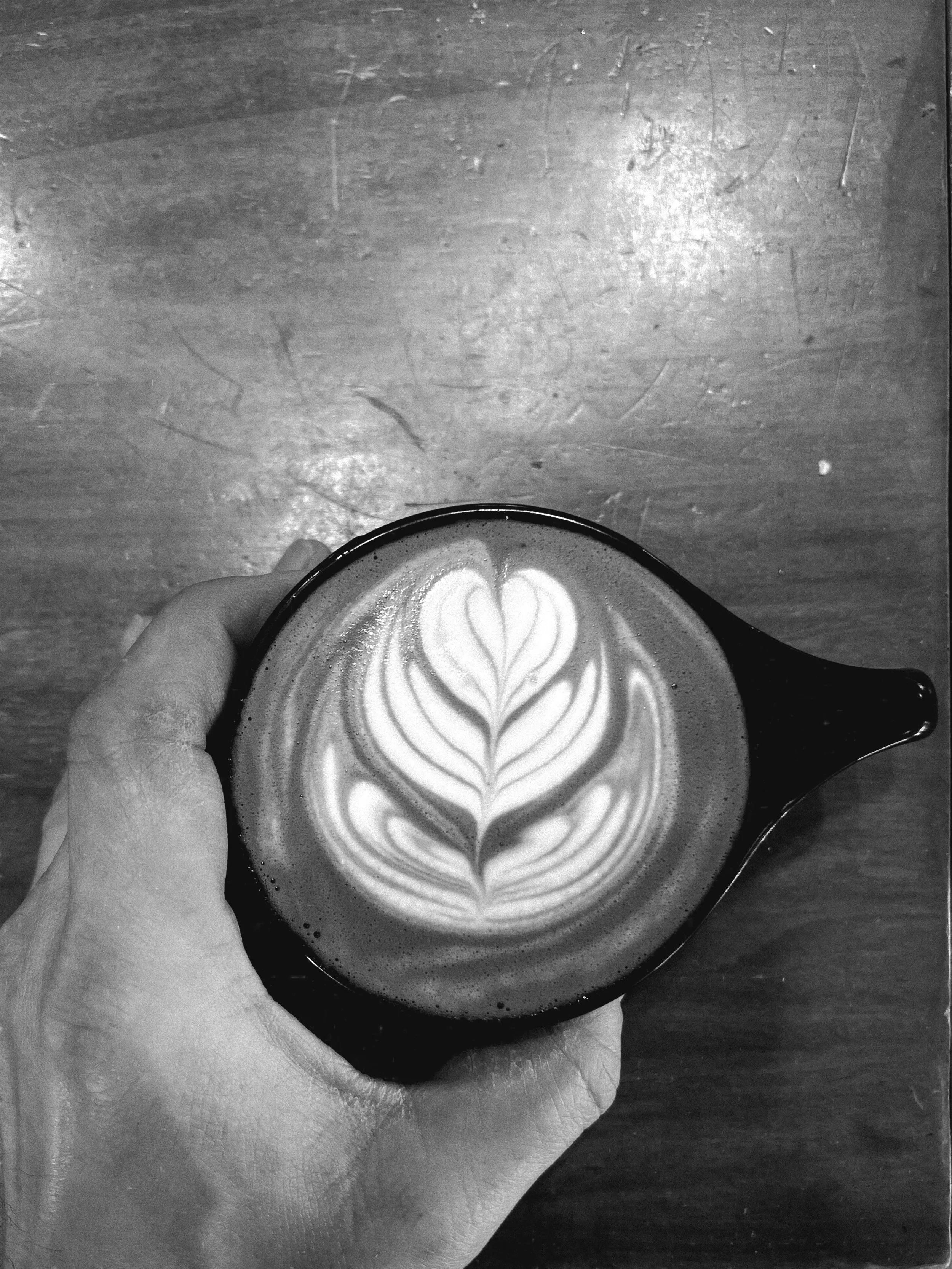Black Lodge Coffee Roasters in New Harmony, IN