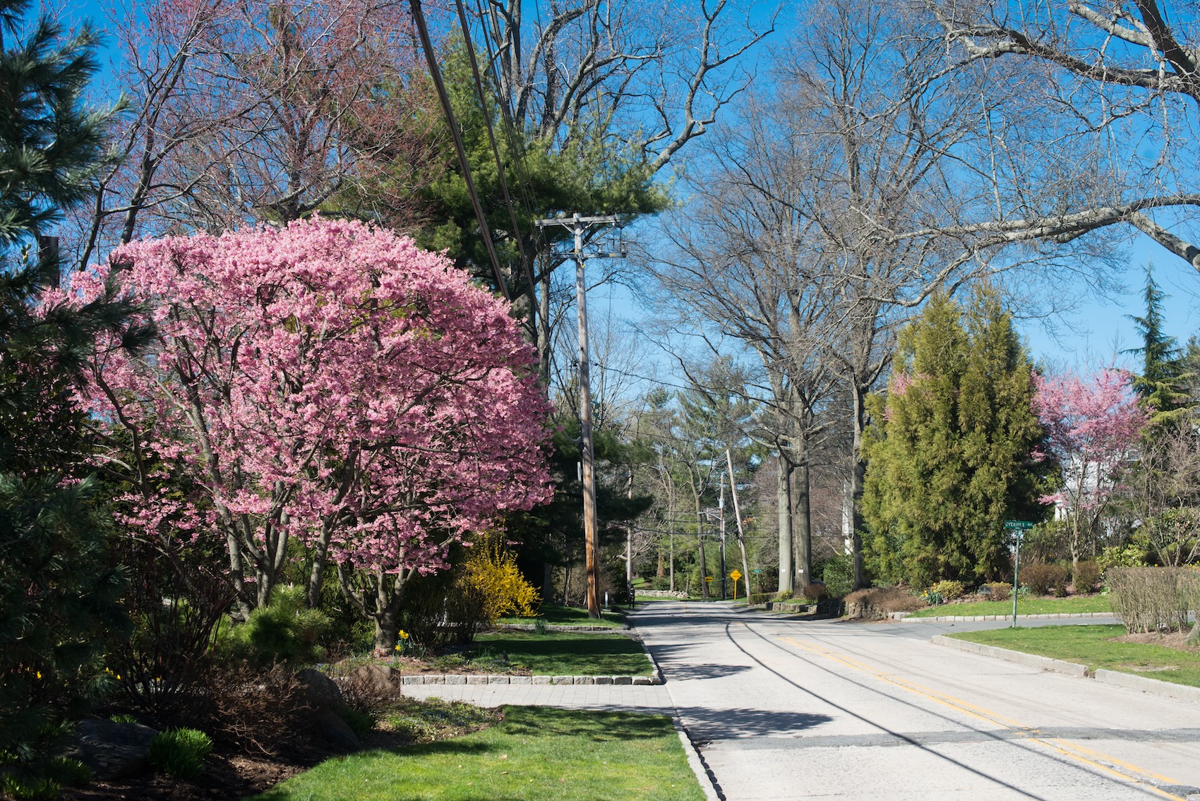 The Georgio Reddington Team | Real Estate Agents | Compass in Rye, NY (4)