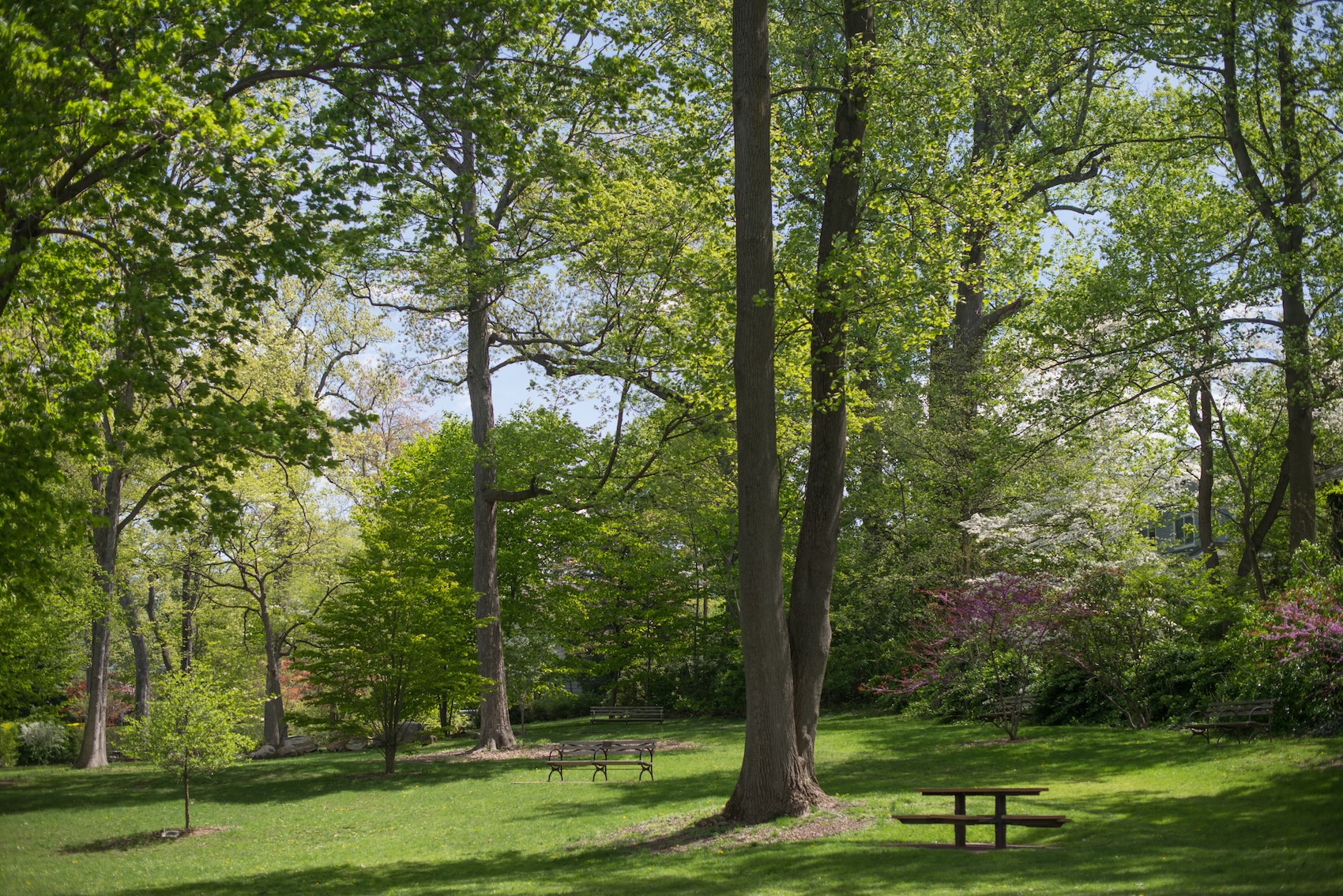 The Georgio Reddington Team | Real Estate Agents | Compass in Rye, NY (5)
