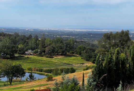Karie Hall, Homes by Karie & LPT Realty in Auburn, CA (2)