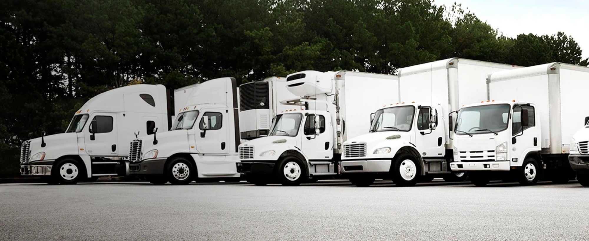 Big Dog Fleet Services in South Plainfield, NJ