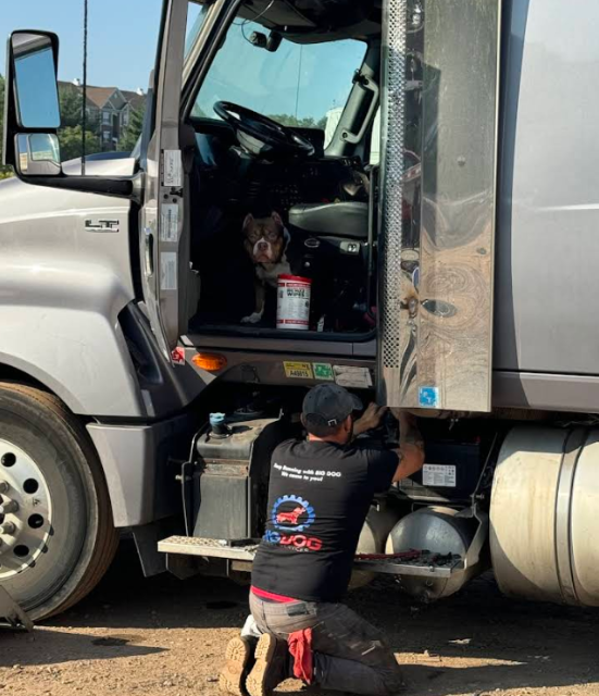 Big Dog Fleet Services in South Plainfield, NJ (3)