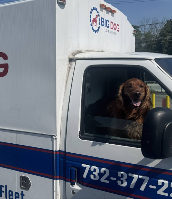 Big Dog Fleet Services in South Plainfield, NJ (6)