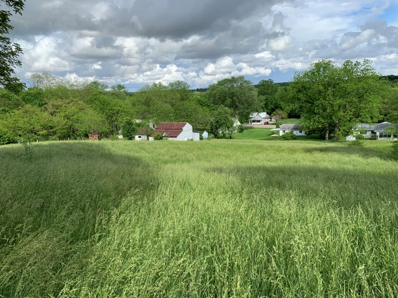 Sheila Dunphy-Pallotta, Dunphy Real Estate Inc. in Yellow Springs, OH (5)