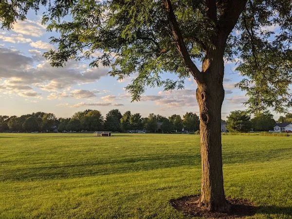 Matt Buys Indiana Houses in Elkhart, IN