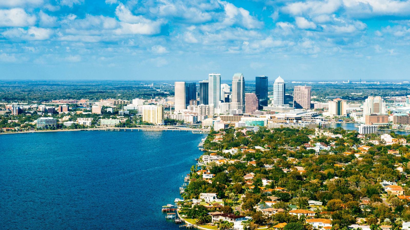 Jorge Braham | Wesley Chapel Realtor | Saavedra and Sons Group Vantage in Tampa, FL (5)