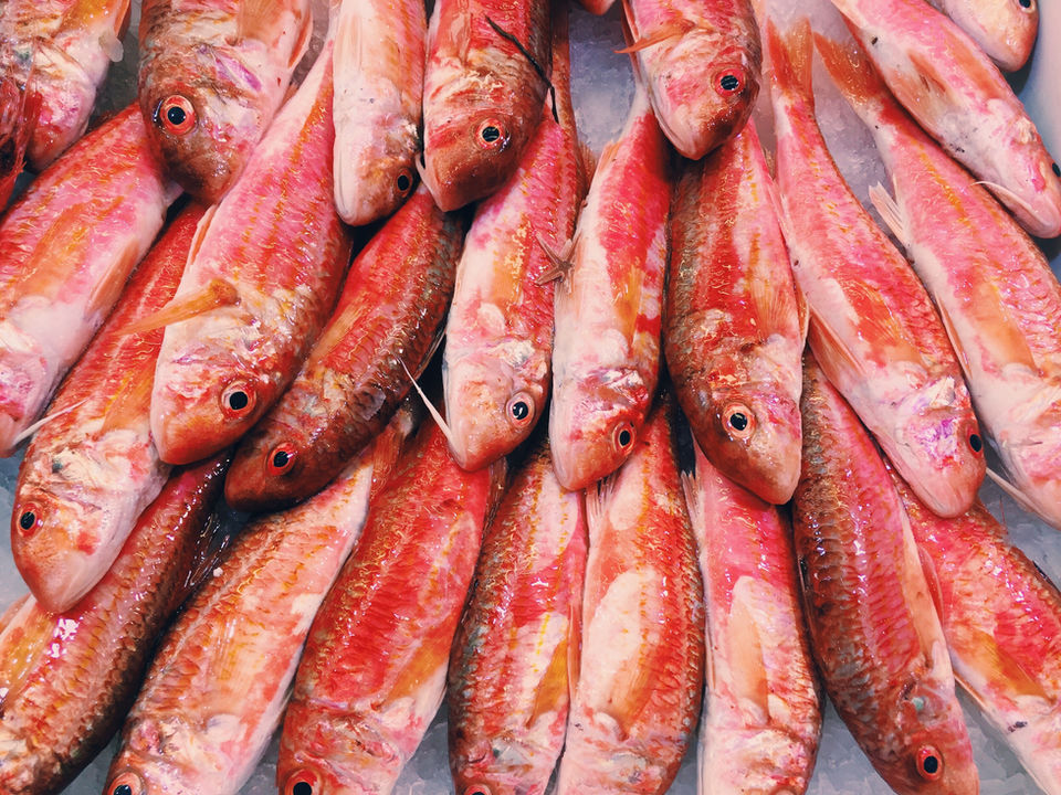 Low Country Seafood in Varnville, SC (2)