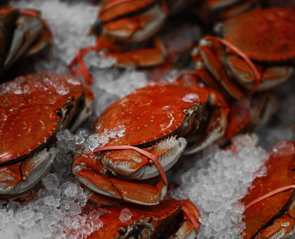 Low Country Seafood in Varnville, SC (3)