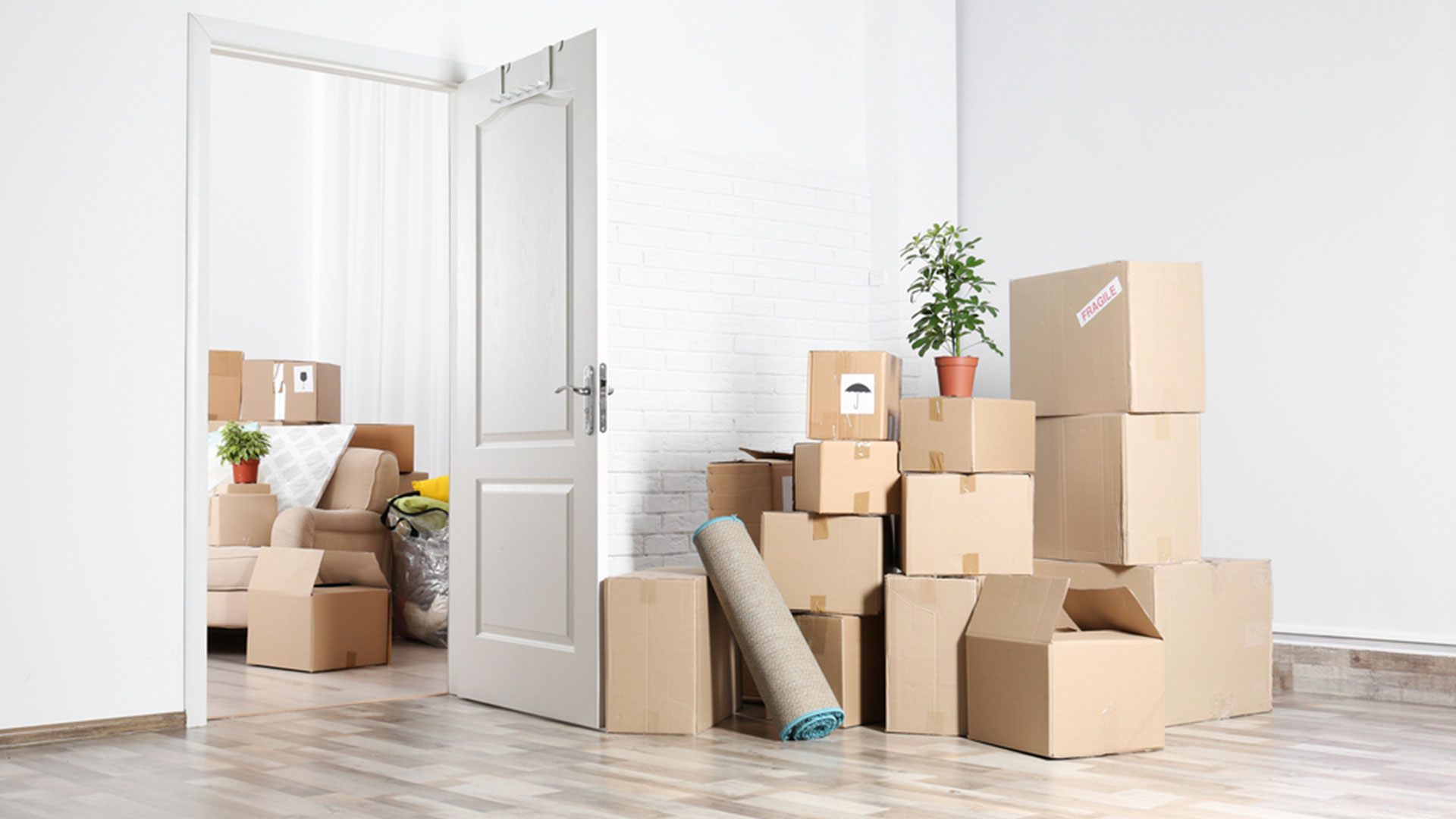 JEGA Movers LLC in Columbia, SC (3)