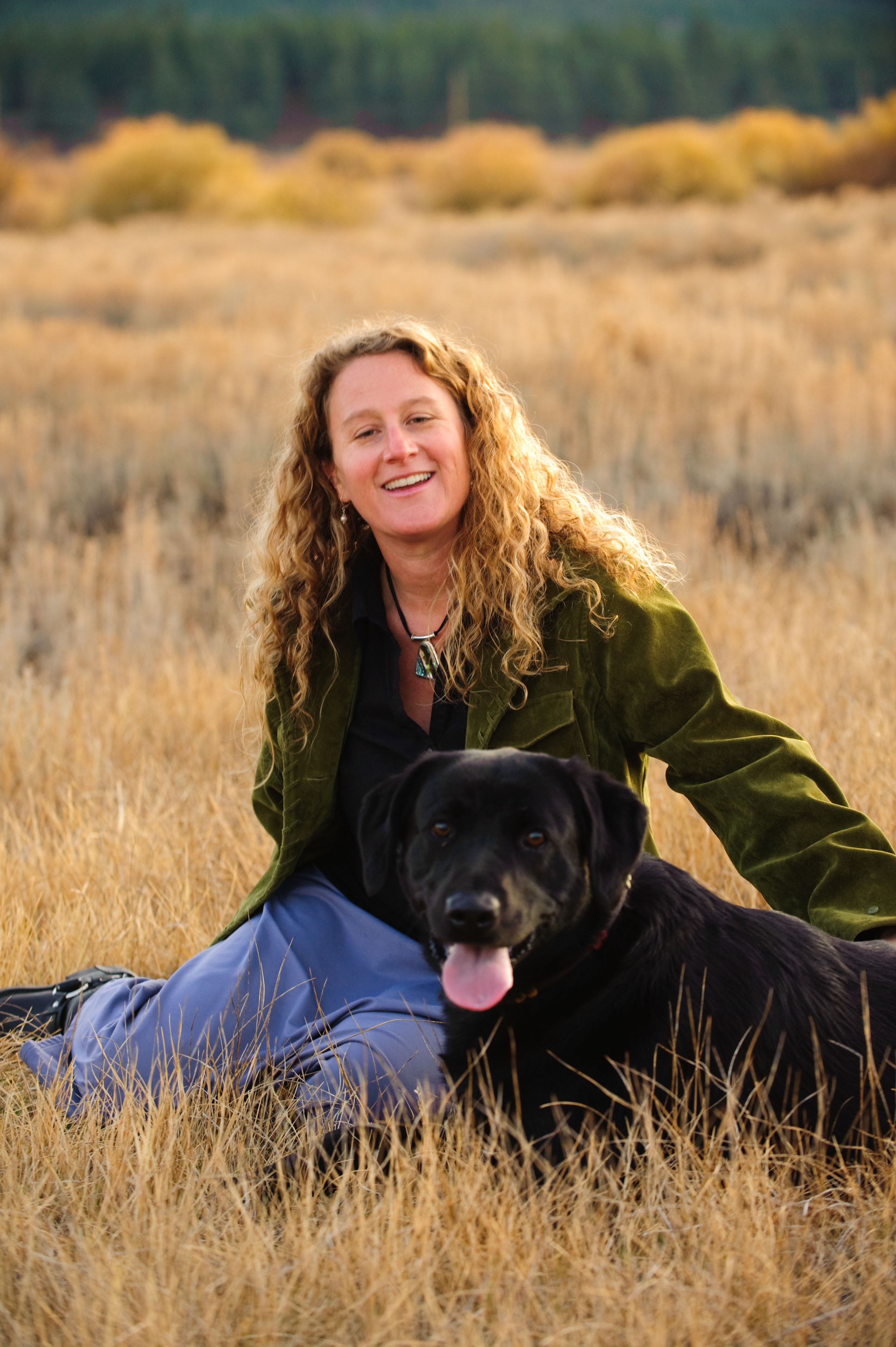Alison Bermant, Attorney at Law, APC in Truckee, CA