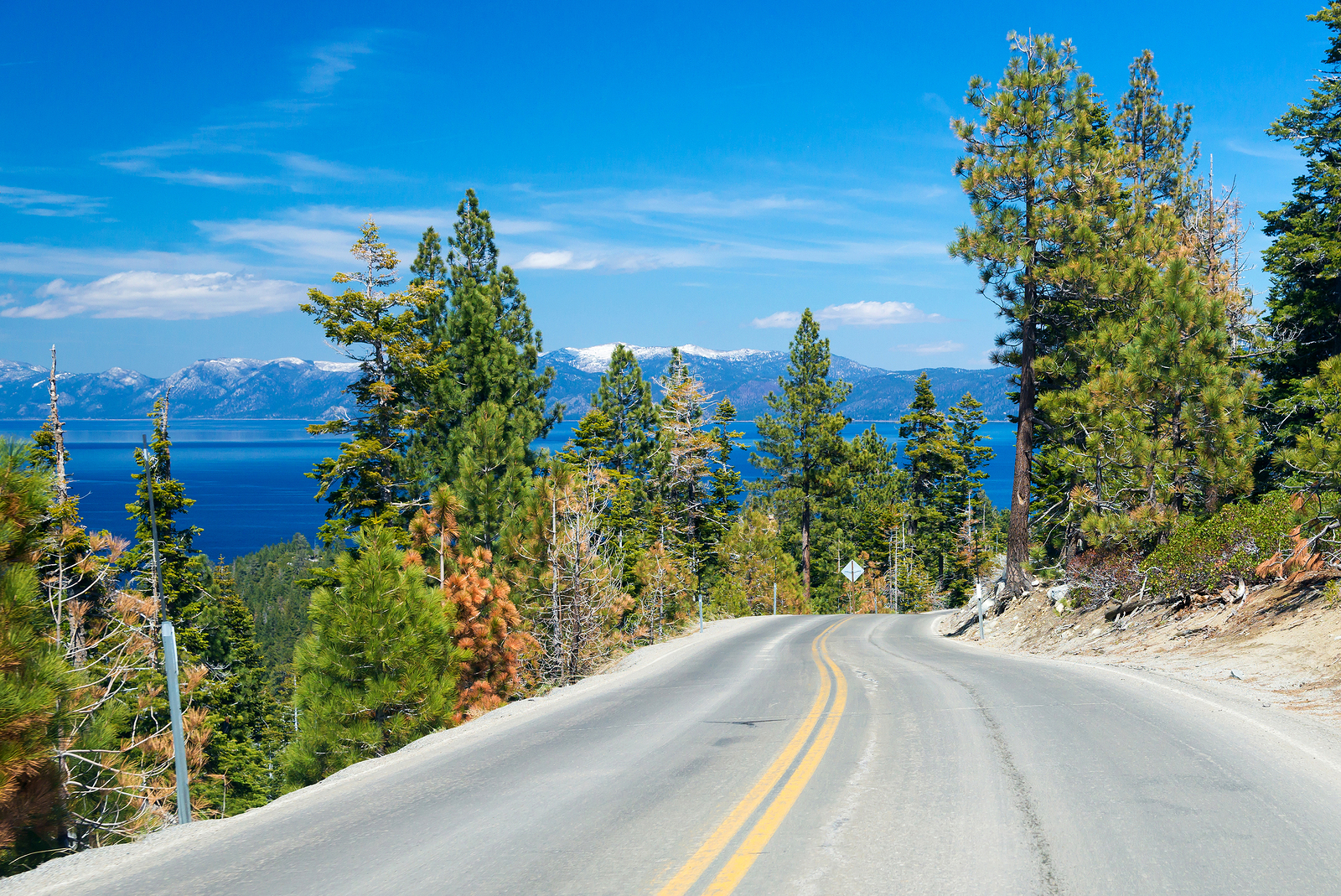 Alison Bermant, Attorney at Law, APC in Truckee, CA (2)