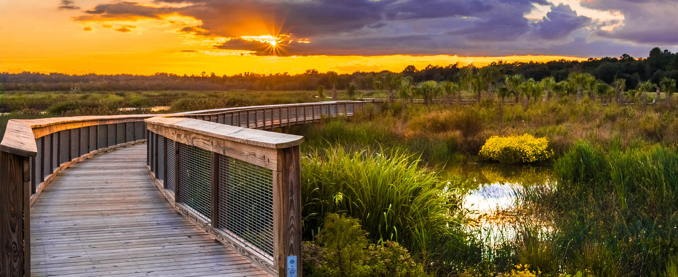 Jacquelyn Mercier at Rabell Realty in Alachua, FL (6)