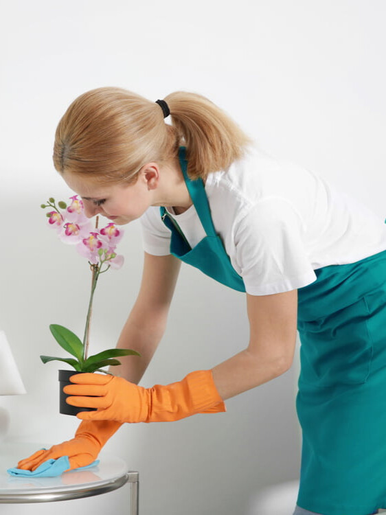 Sab Cleaning Orlando in Orlando, FL (4)