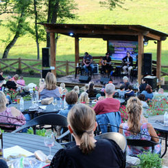 Buckley Vineyards in Ellijay, GA (4)