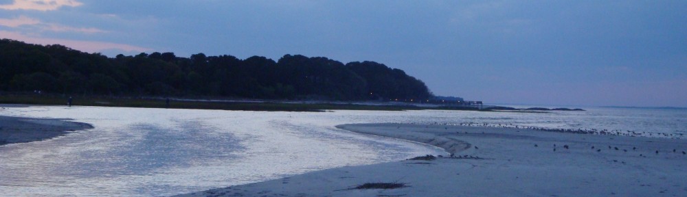 Lee Law Firm, LLC in Hilton Head Island, SC (3)