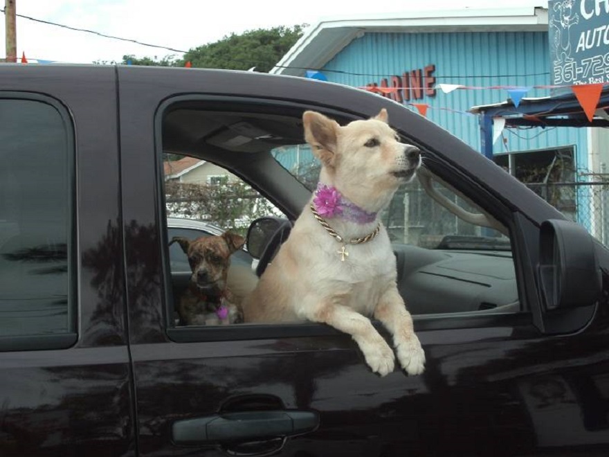 Chula's Auto Detail in Rockport, TX (5)