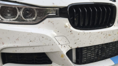 Reflections Auto Detailing(Ceramic Coatings & Window Tint) in Georgetown, TX (6)