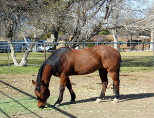 Tootie Kelly Real Estate in Brownwood, TX (3)