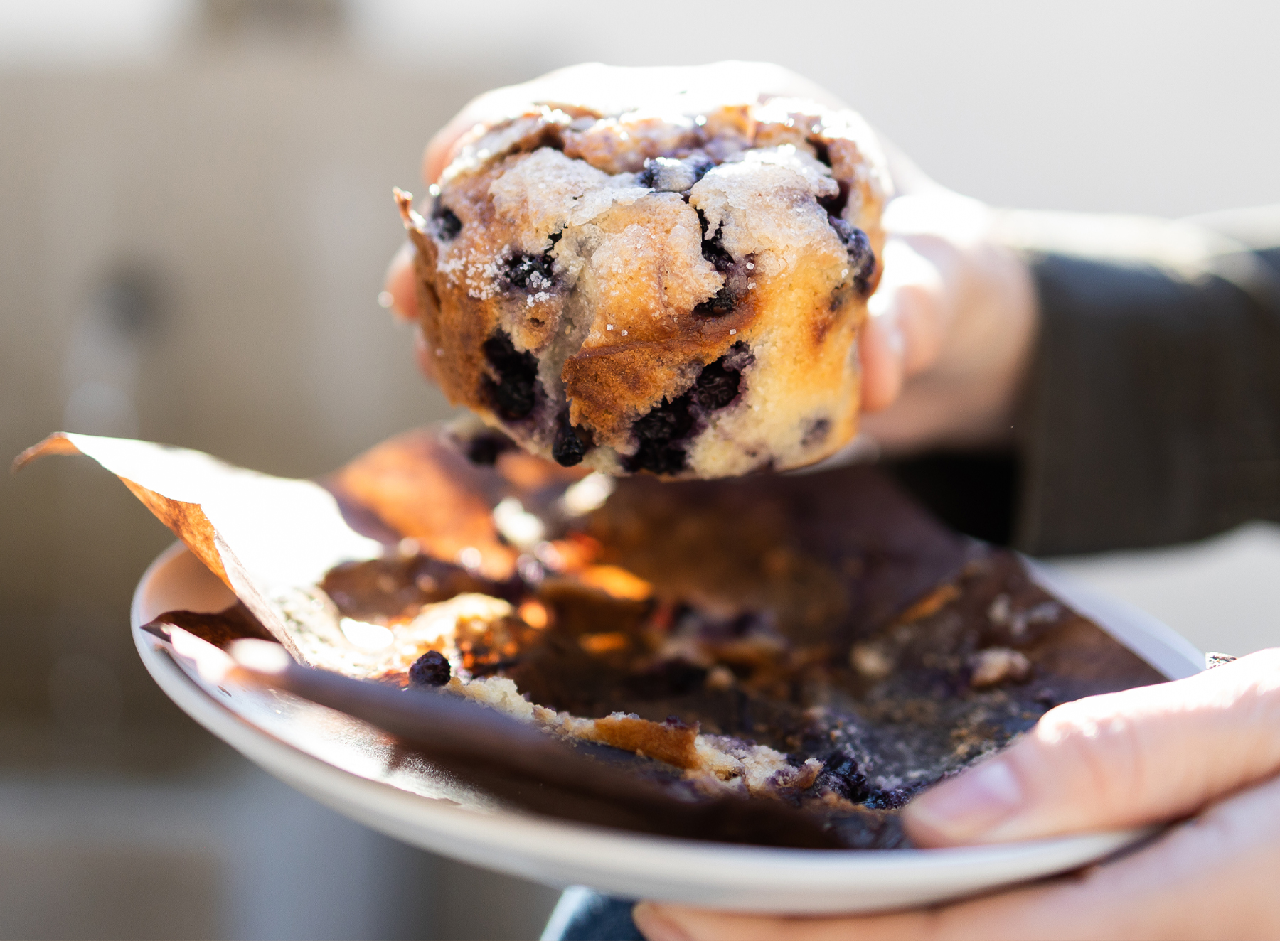 Brass Bird Coffee & Kitchen in Carpinteria, CA (4)
