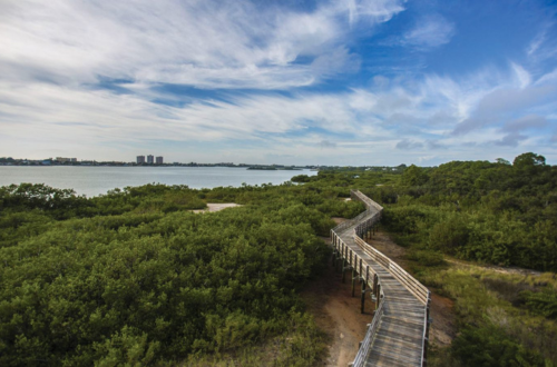 Coastal Properties Group International - Zach Strong in Belleair, FL (6)