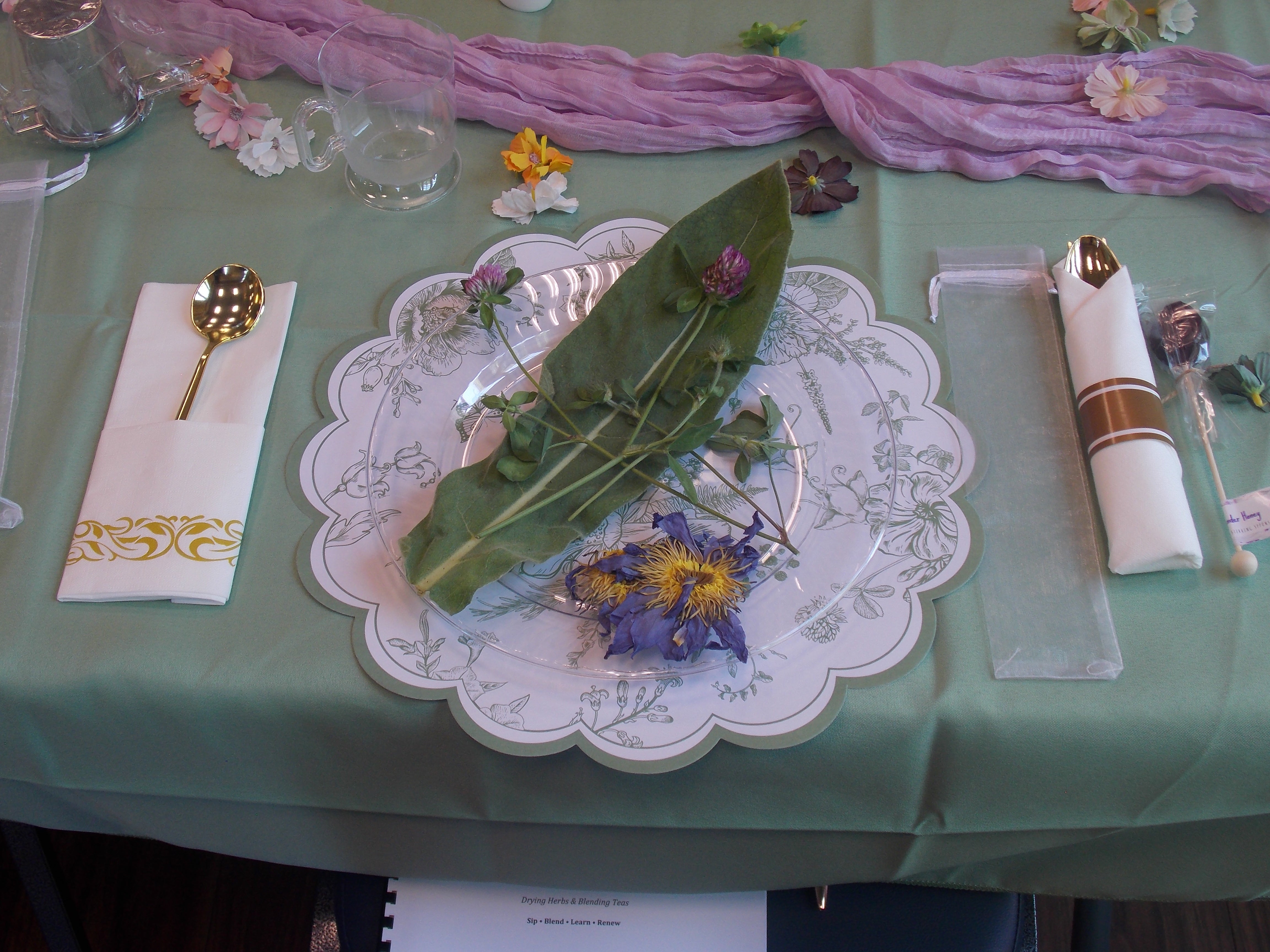 NESS Herbal Shop in Aberdeen, MD (2)