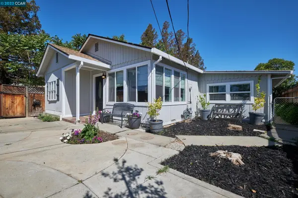 Monica Zuniga - Realm Real Estate Group in Concord, CA (2)