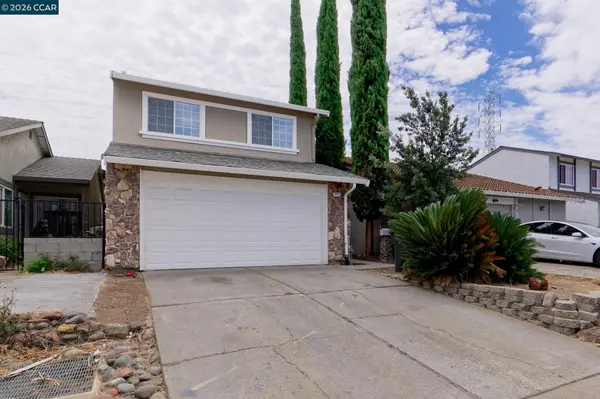 Monica Zuniga - Realm Real Estate Group in Concord, CA (3)