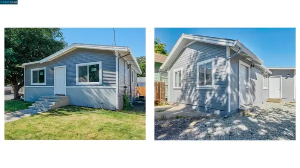 Monica Zuniga - Realm Real Estate Group in Concord, CA (5)
