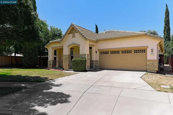 Monica Zuniga - Realm Real Estate Group in Concord, CA (6)