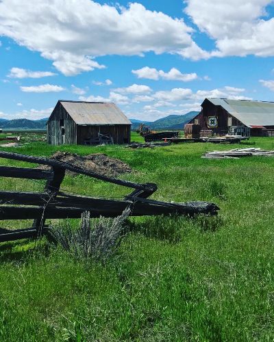 Amber Donnelly, Realtor | Century 21 Tahoe North, Realtors in Portola, CA (6)